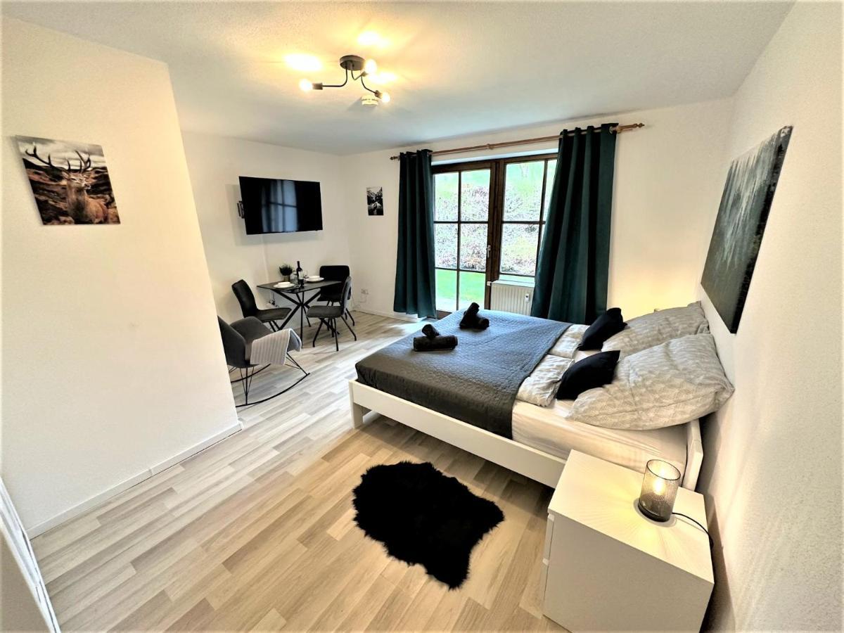 Cozy Apartment In Bavarian Forest +Pool +Sauna +Netflix Zwiesel Εξωτερικό φωτογραφία